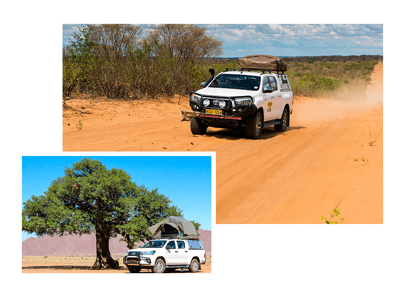 Selbstfahrer-Safari-Touren-4x4-Mietwagen-Botswana